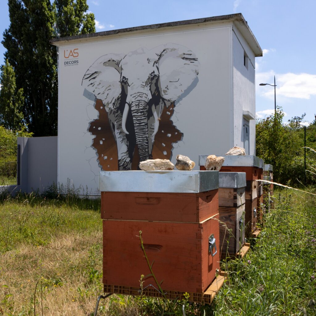 ISO 15 Ruches Miel scaled 2