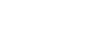 Accueil 8 LOGO CLIENT_adyen-blanc