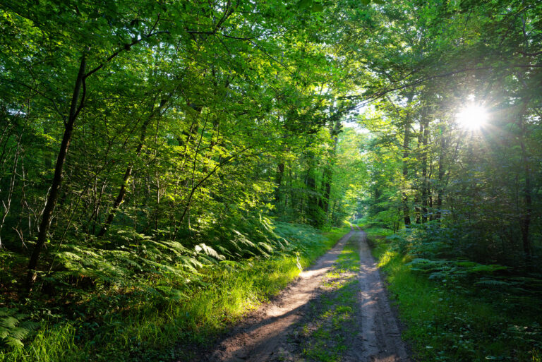 AdobeStock 868141703